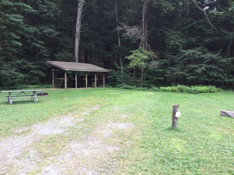 Kelly Pines Campground: Site 6