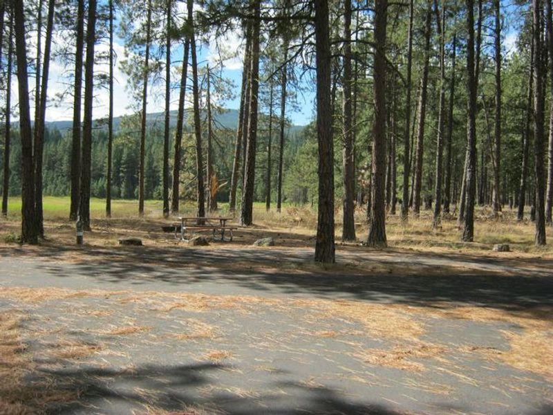 Road with trees and hills in the background. 