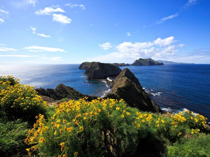 Inspiration Point, Anacapa Island