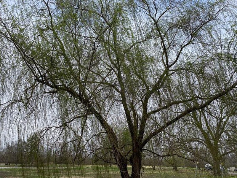 Great place to come and relax.