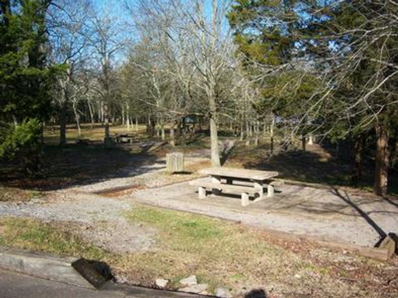 SMITH SPRINGS - picnic area