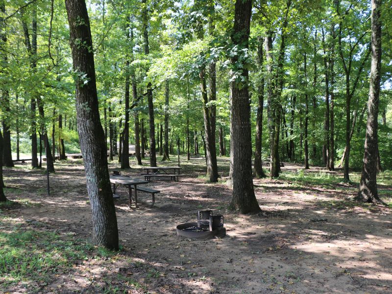 Shaded sites are available for tent camping at Ozark Campground.