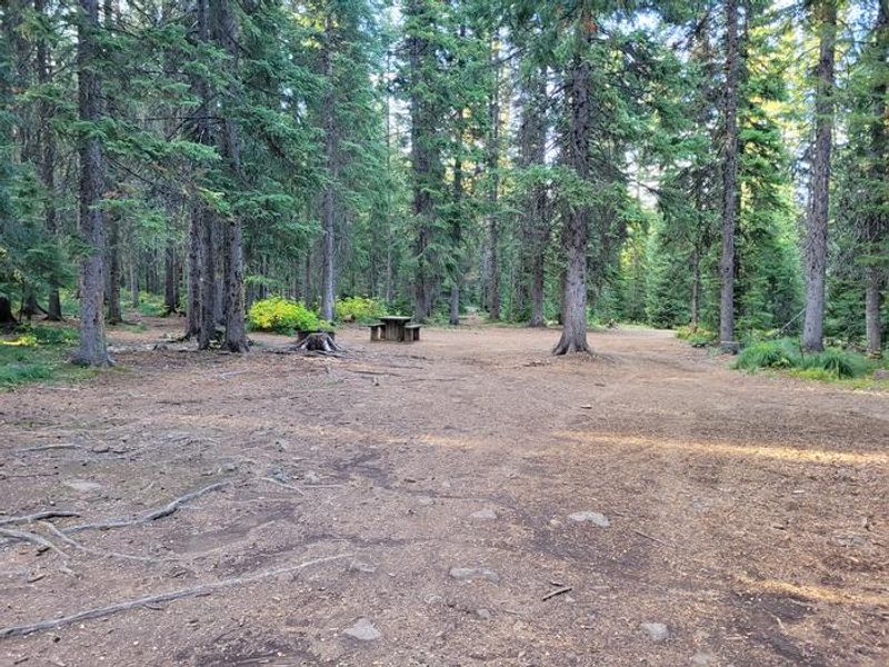 Fish Creek Group Site