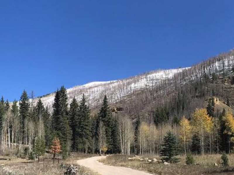 Old Folks Flat Campground