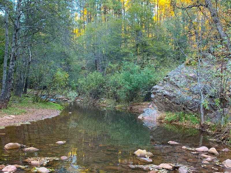 Tonto Creek nearby Upper Tonto Creek Campground