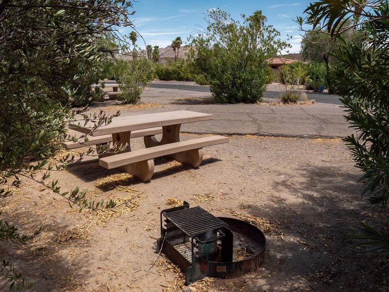 Callville Bay Campground