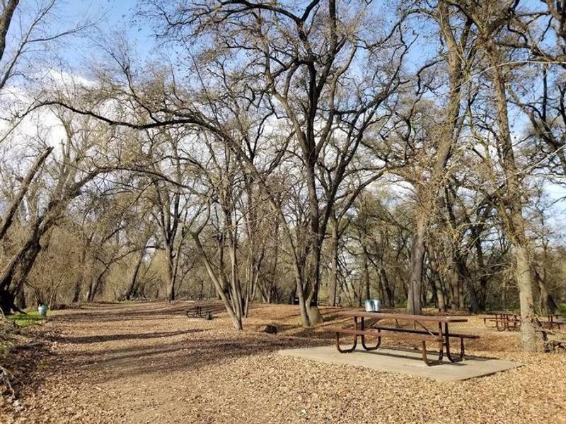 Valley Oak Campground