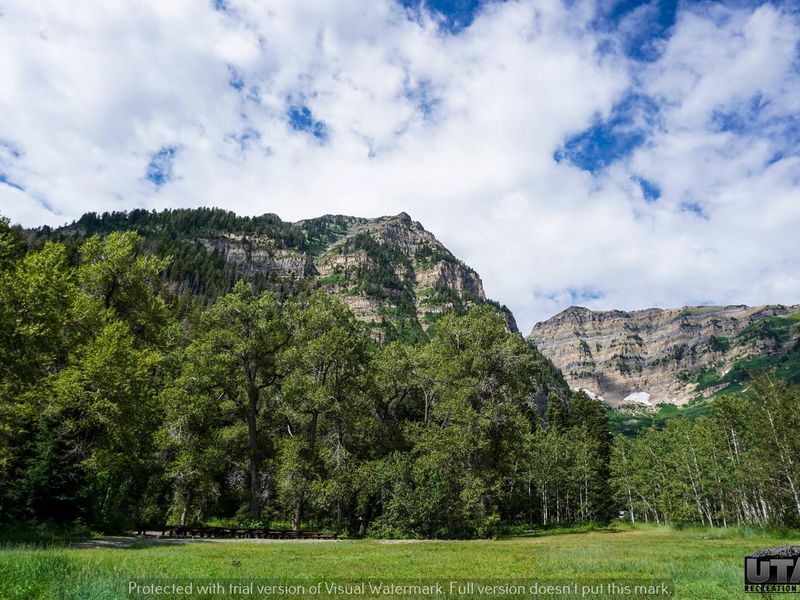 Theater In The Pines