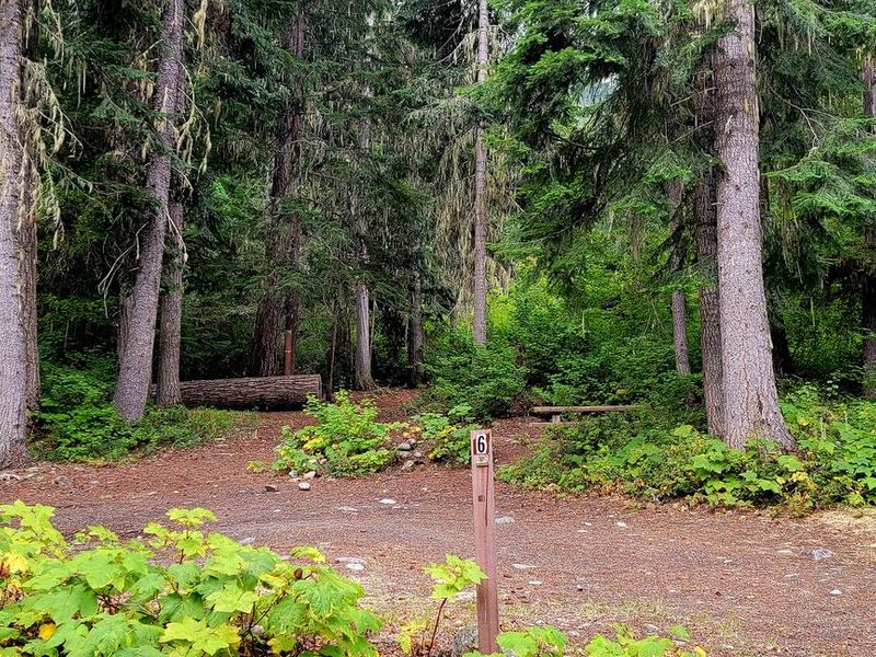 Black Pine Horse Camp - Site 6
