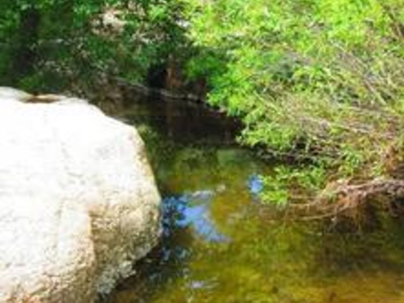 Reynolds Creek Group Campground