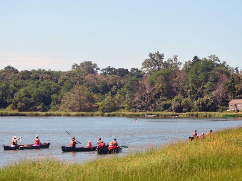 Make sure to participate in one of the many programs that are offered by the Cape Cod National Seashore during your stay!