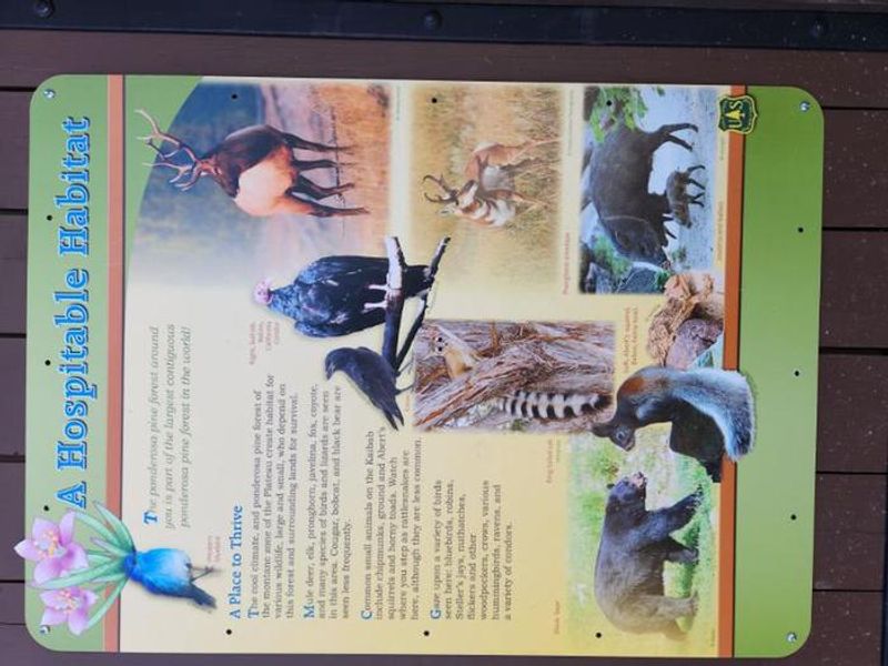 A photo of facility TEN-X CAMPGROUND 