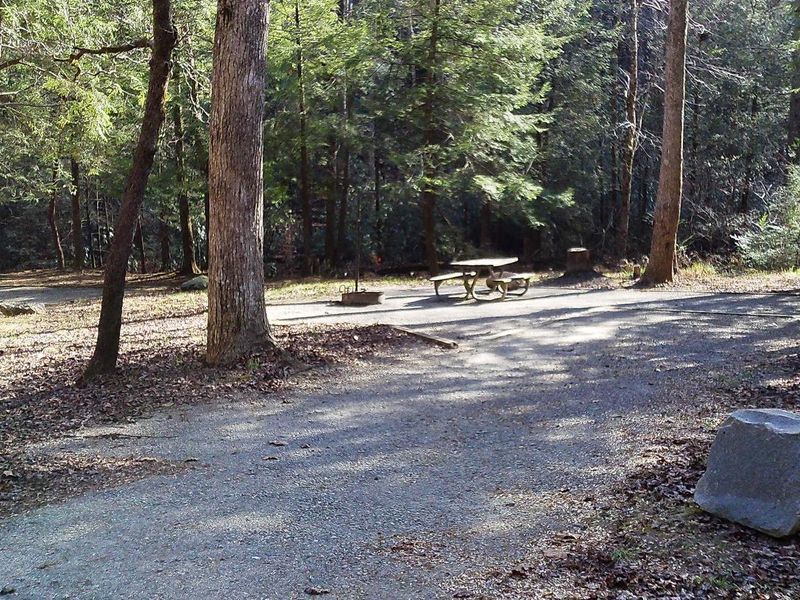 Welcome to campsite #10