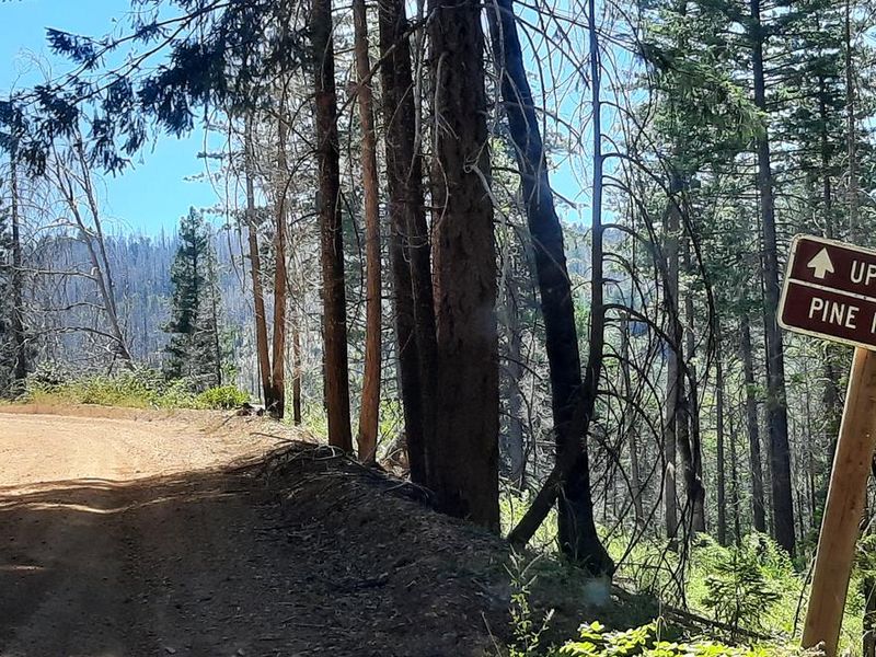 Traveling south on M1/Elk Mountain Road, you'll see this sign for the right turn onto 18N05 to the Lookout.