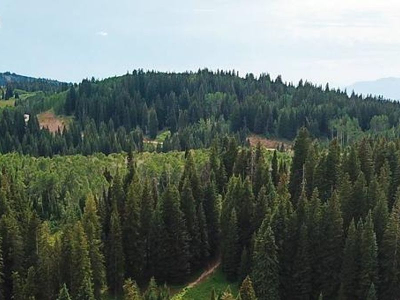 Monte Cristo Campground