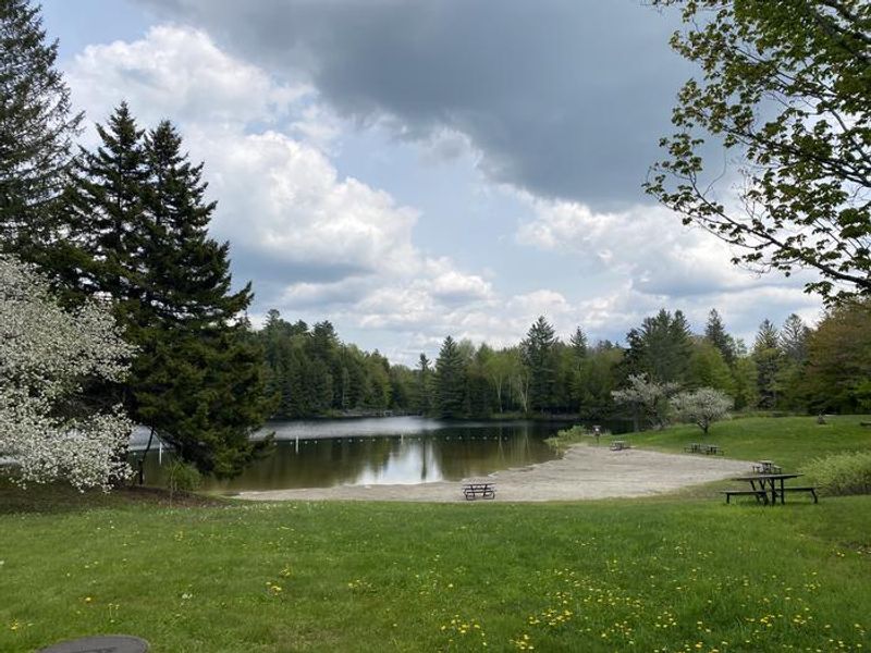Beach Area at HAPGOOD POND