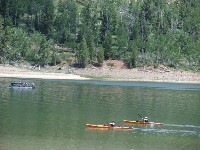 Don't forget your kayak! 