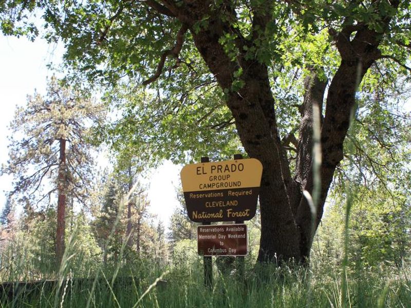Entrance to El Prado Group Campground