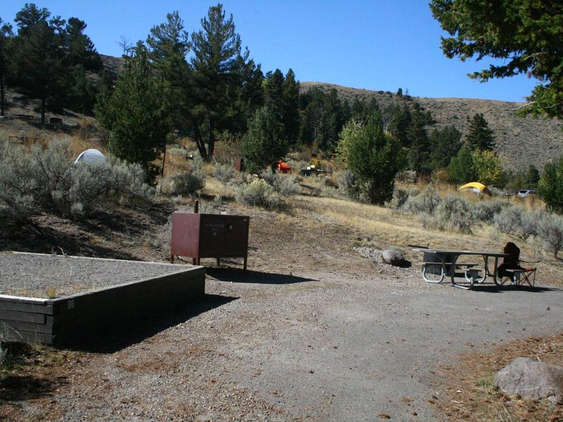 Mammoth Campsite #36
