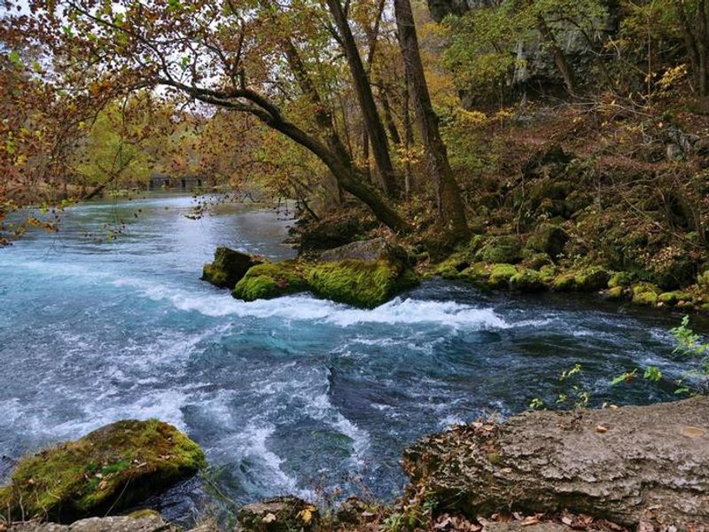 Big Spring flows along it's tree and moss-lined banks