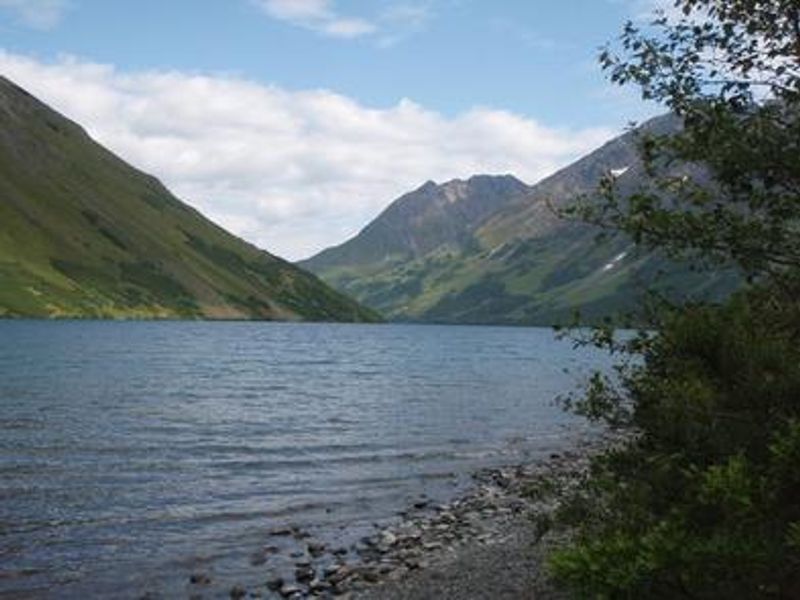 CRESCENT SADDLE CABIN