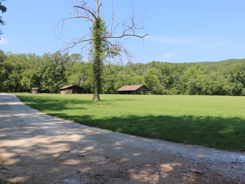 A large grassy open area, great for star gazing exists at Ozark Campground.