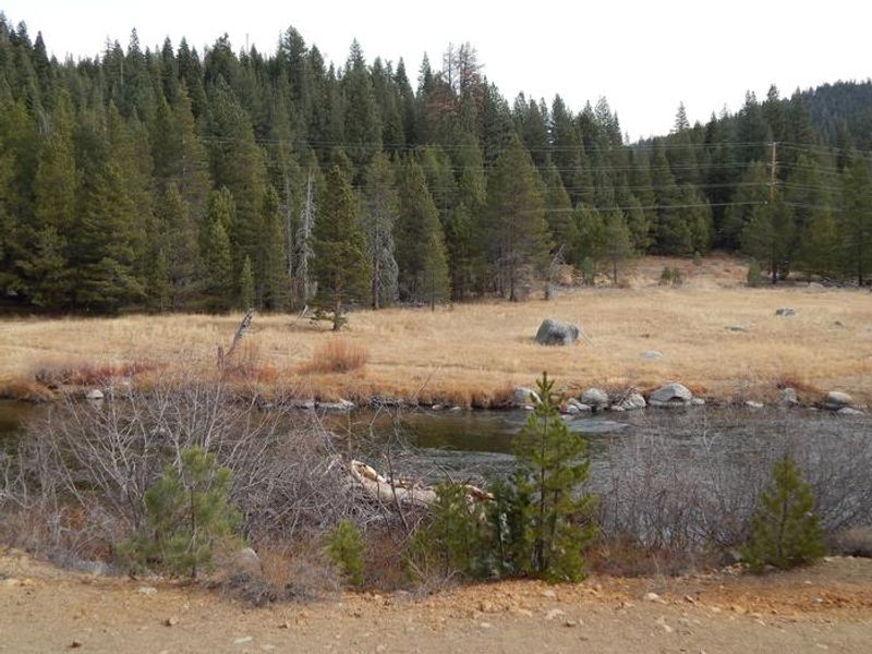 SILVER CREEK CAMPGROUND - TRUCKEE