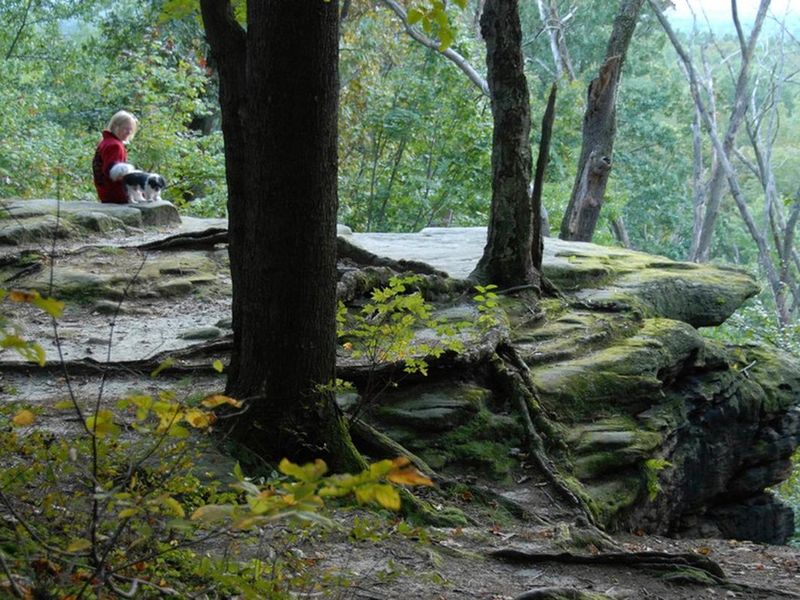 A park visitor and her dog enjoy the Ledges overlook