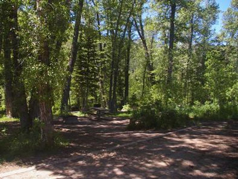 Shaded camping opportunities