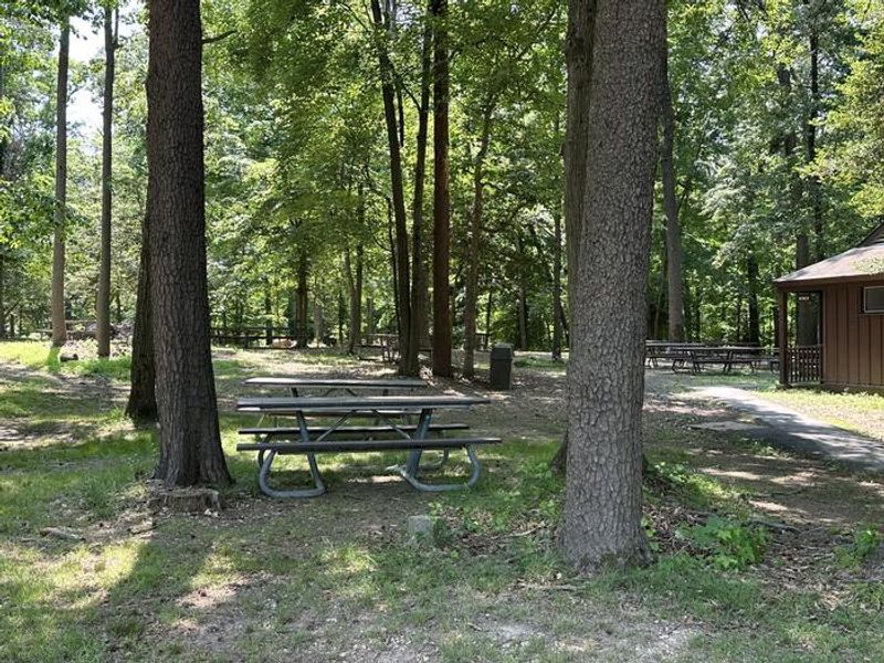 Enjoy a family reunion or company picnic in the Urban Oasis 