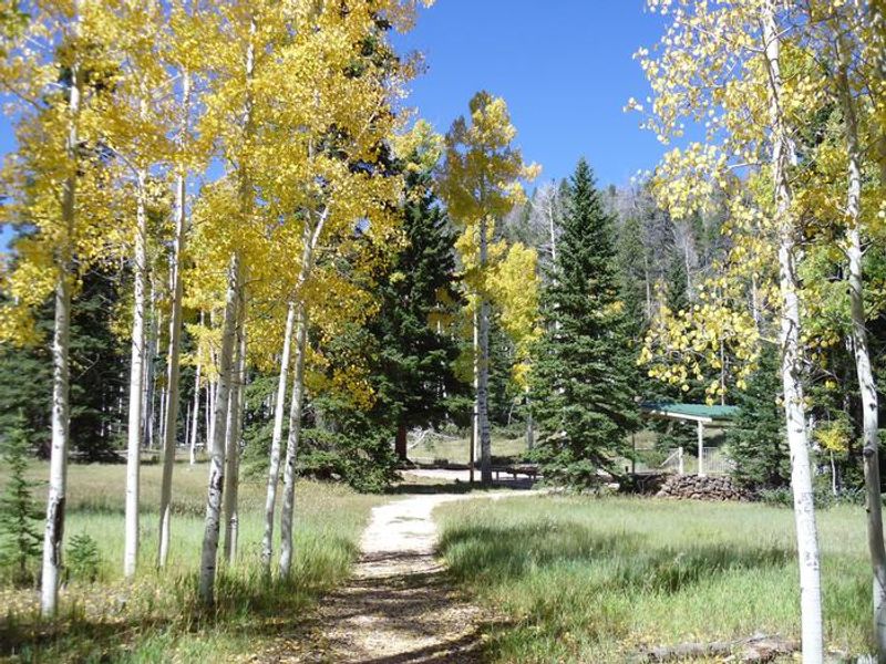 Trail to the Amphitheater  