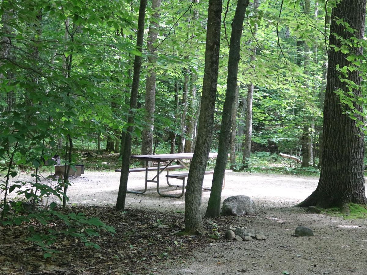 Covered Bridge photo 2