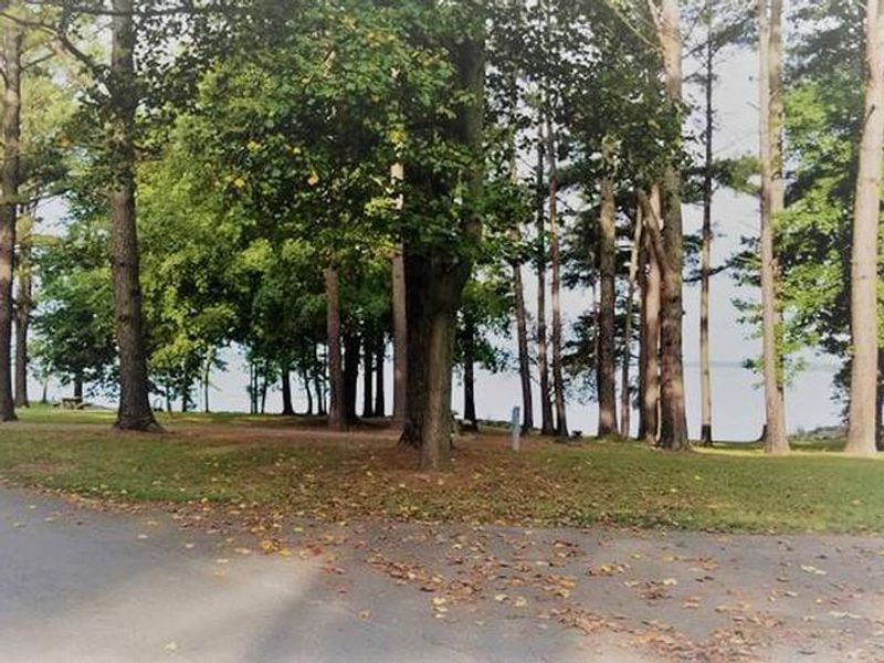 Campsites within Eagle Loop at Gun Creek Campground