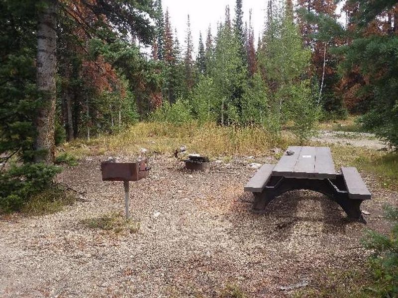 Ryan Park Campground Hero Image 3