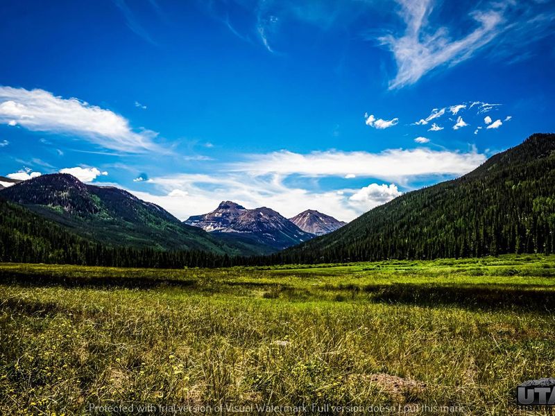 Christmas Meadows Campground 2