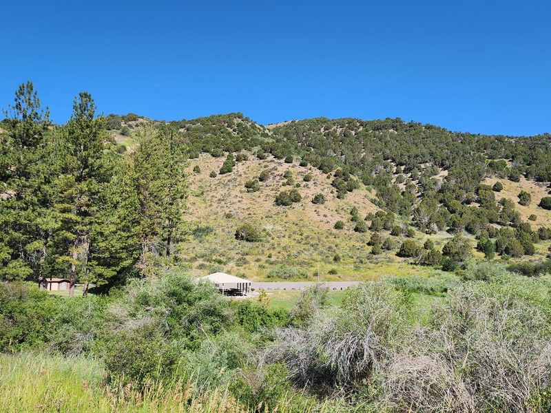 The view of Mink Creek from the road