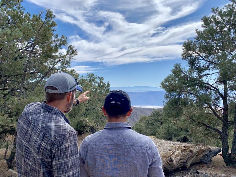 Breaks in the trees provide views into the valley.