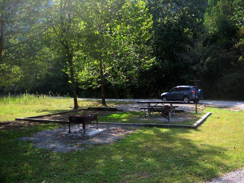Some campsites at Army Camp offer partial shade.