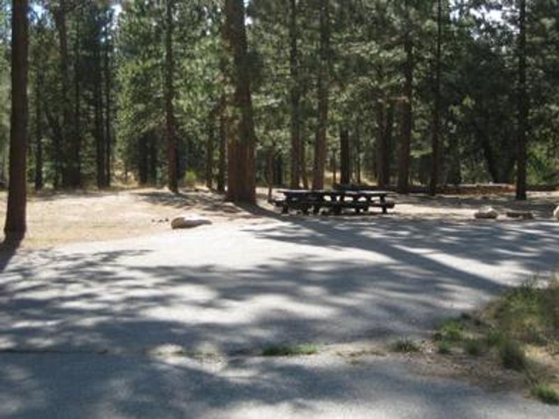 Barton Flats Campground Picnic Tables in the shade