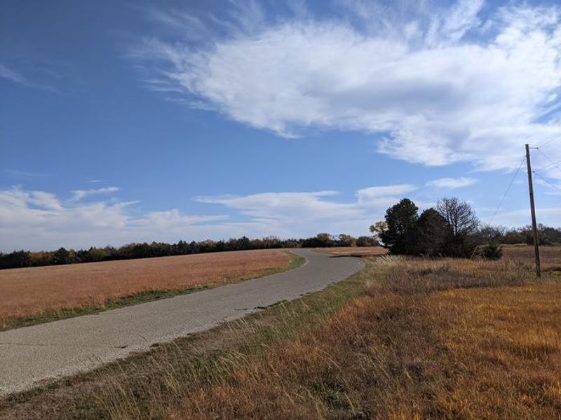 Curtis Creek - Road leading to Loop C & D