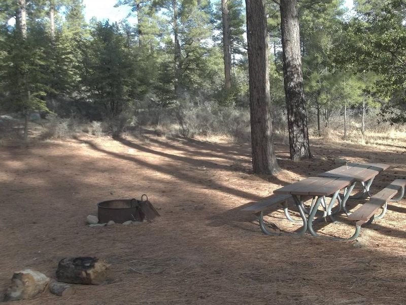 Upper Wolf Group Campsite