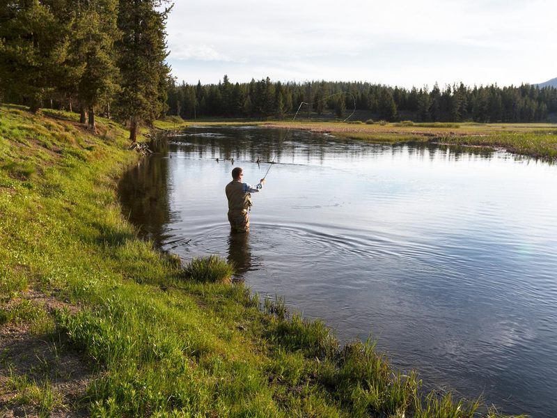 Within walking distance of the campground is Polecat Creek, which runs through forests, wildflower meadows, and thermal features. For avid anglers, the Snake River offers plentiful cutthroat trout, brook trout, and whitefish. This area is known for its remarkable fly fishing and photography opportunities.  