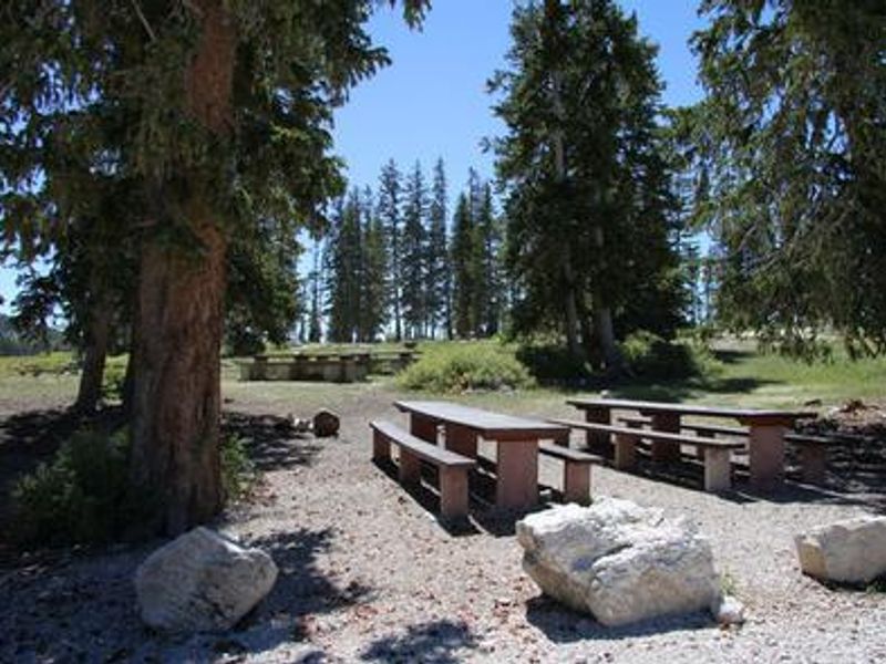 Twelve Mile Flat Campground