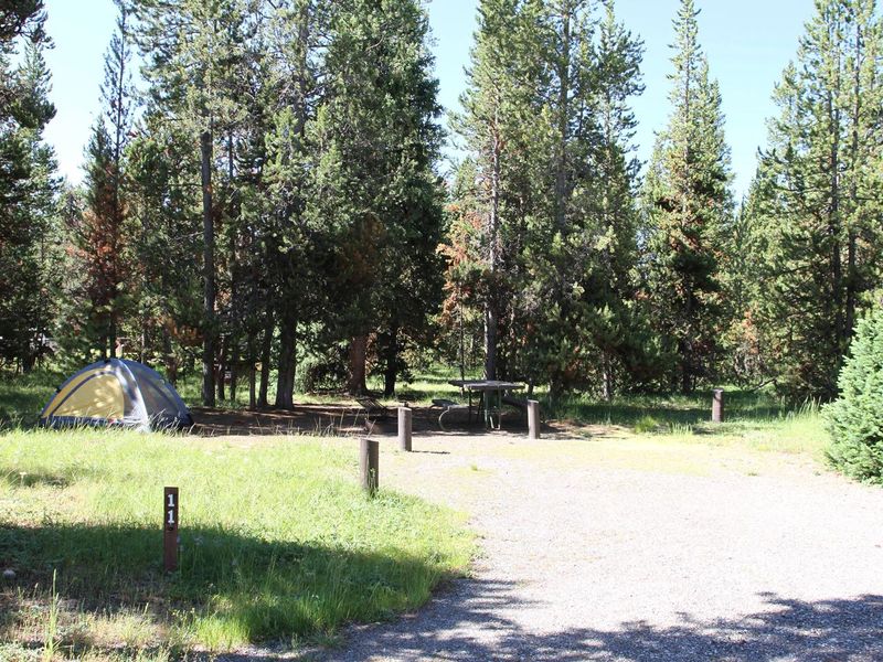 Indian Creek Campground site #11