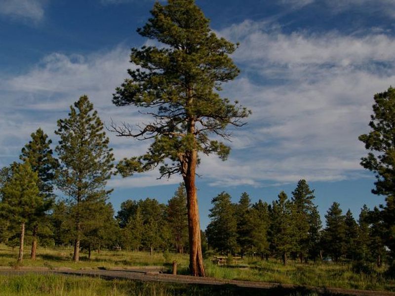 Canyon Rim Campground