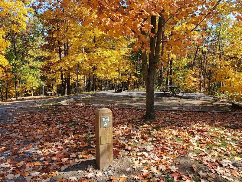 Autumn scene from site 164 A in Seven Points Campground, Bay Camp Loop