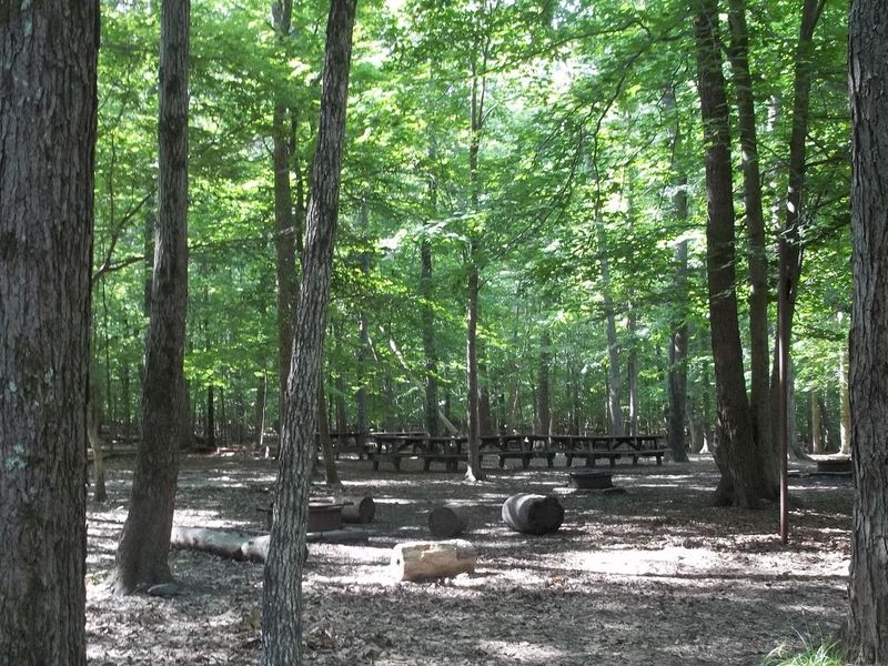 Campsite in Turkey Run Group Campground