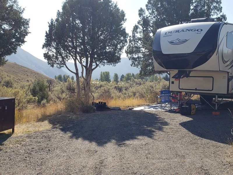 Mammoth Campsite #18