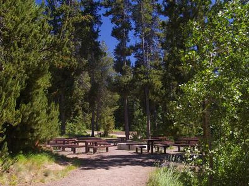 Large LOOP perfect for reunions. 