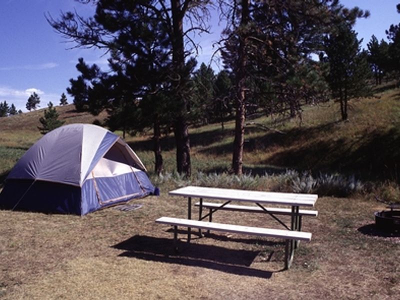 Pine forest meets the prairie at Elk Mountain Campground.